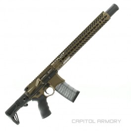 Custom Liberty Leonidas Rifle