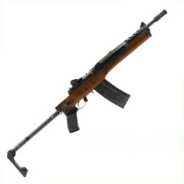 Ruger AC556F | Capitol Armory